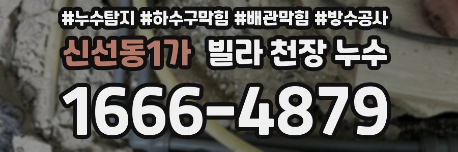 신선동1가 빌라 천장 누수