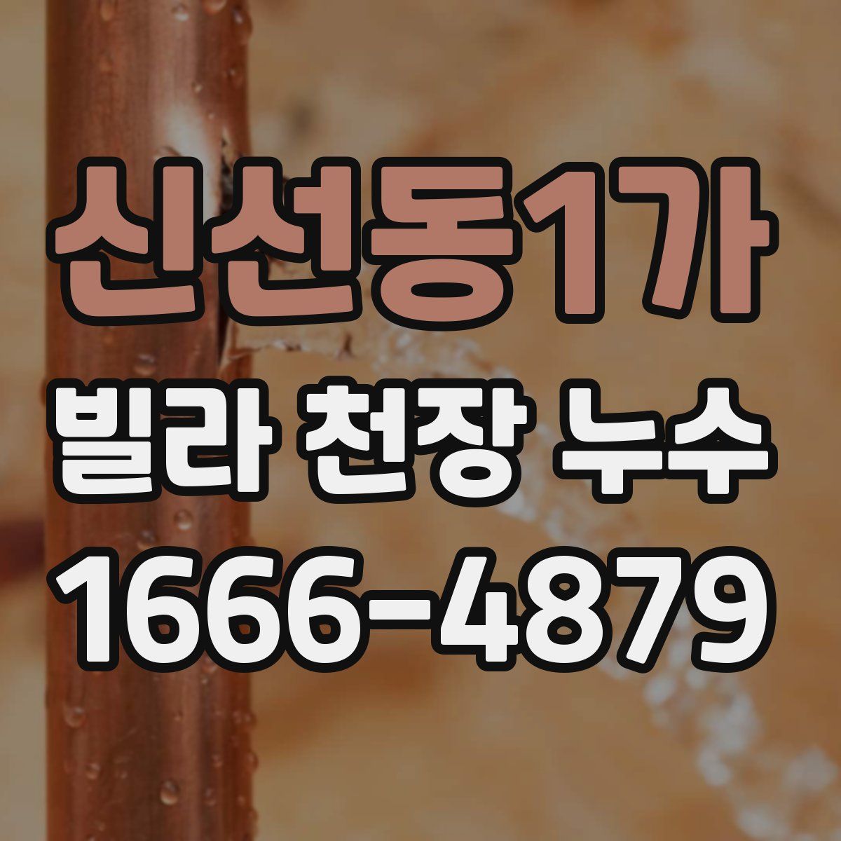 신선동1가 빌라 천장 누수