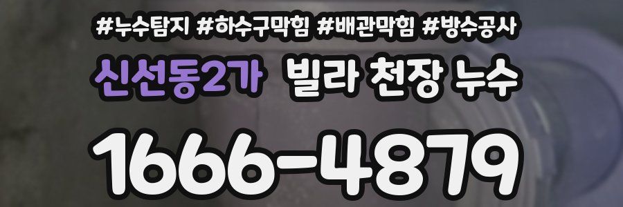 신선동2가 빌라 천장 누수