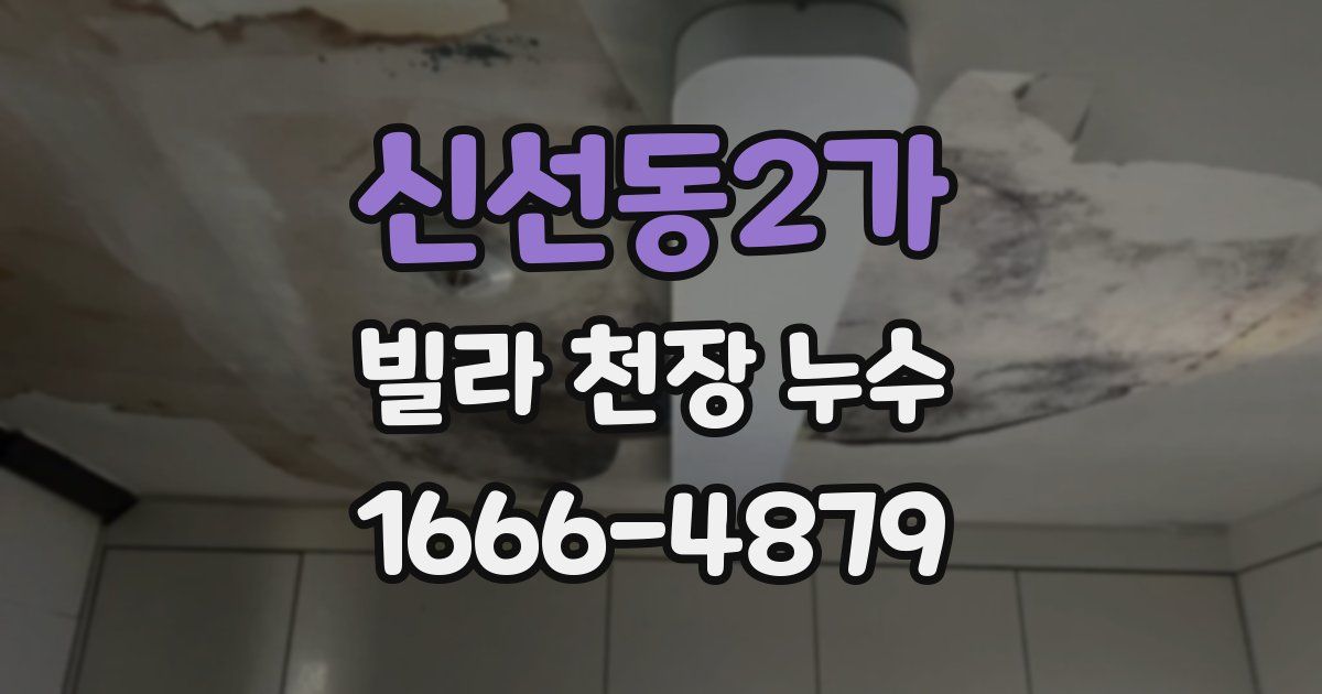 신선동2가 빌라 천장 누수