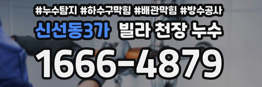 신선동3가 빌라 천장 누수