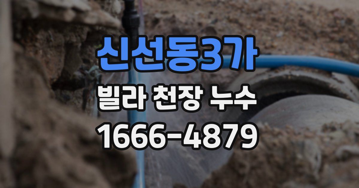 신선동3가 빌라 천장 누수