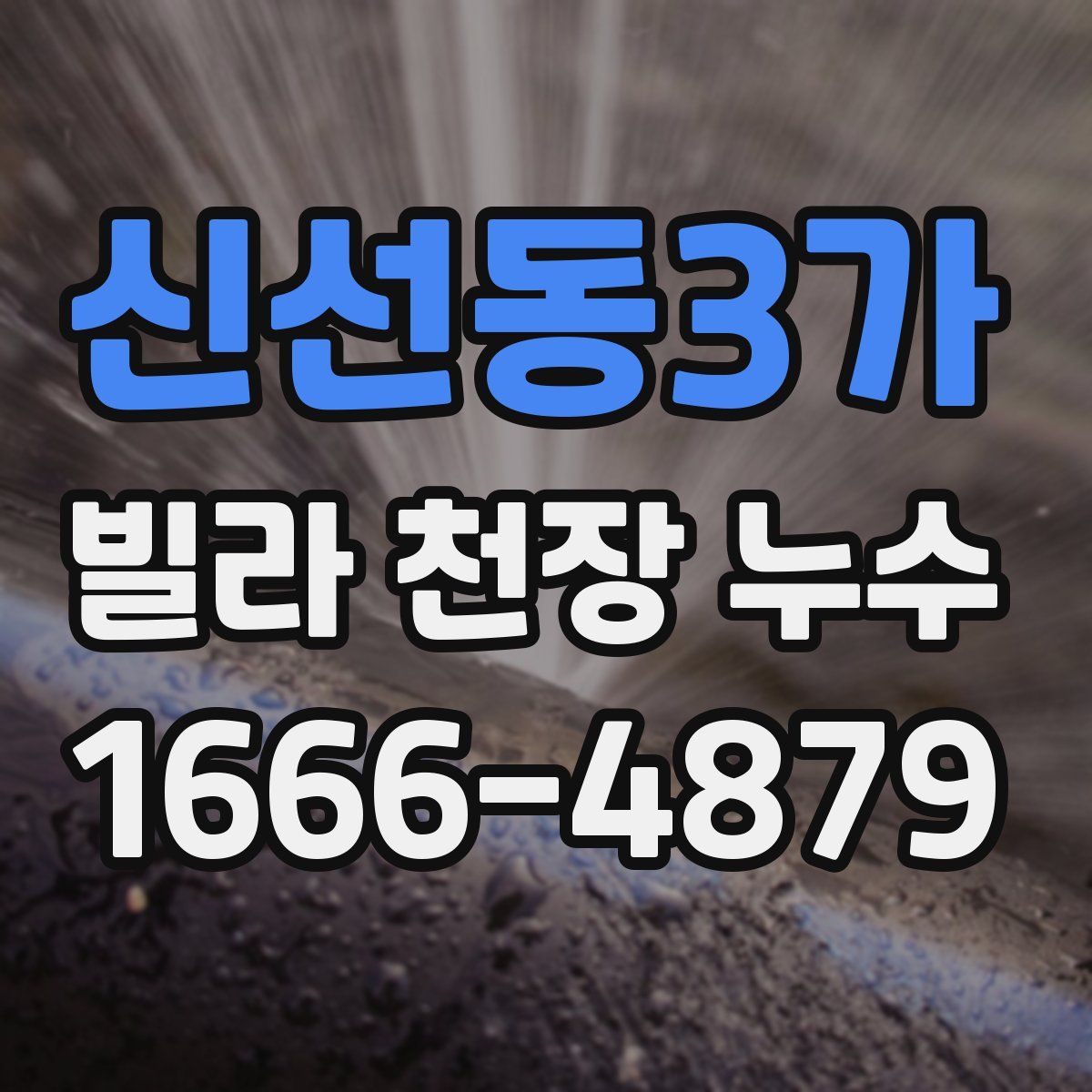 신선동3가 빌라 천장 누수