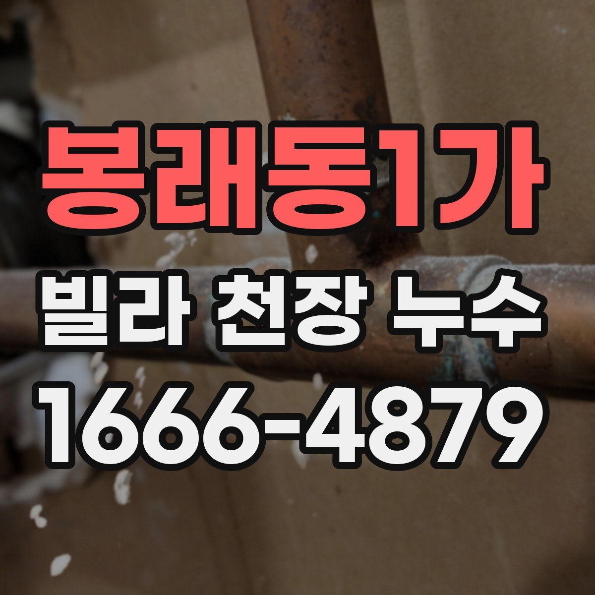 봉래동1가 빌라 천장 누수