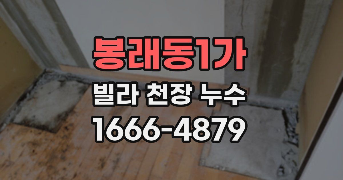 봉래동1가 빌라 천장 누수