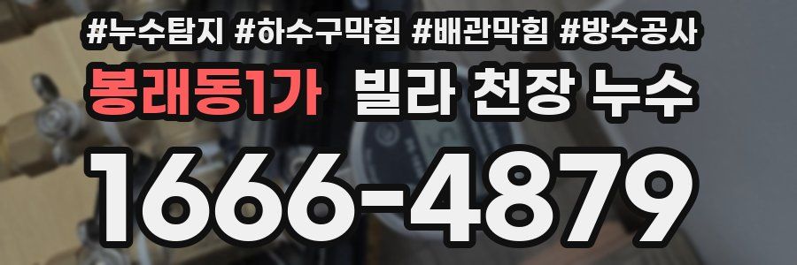 봉래동1가 빌라 천장 누수