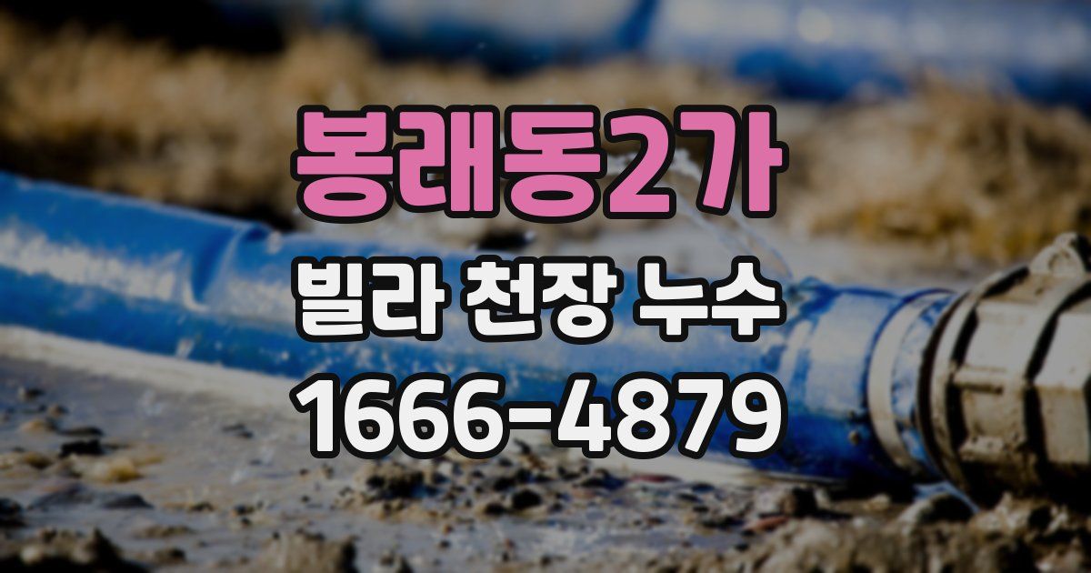 봉래동2가 빌라 천장 누수