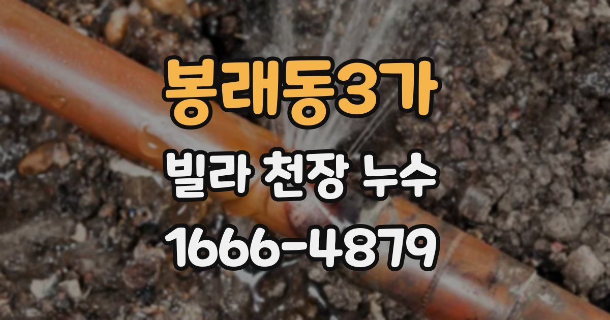 봉래동3가 빌라 천장 누수