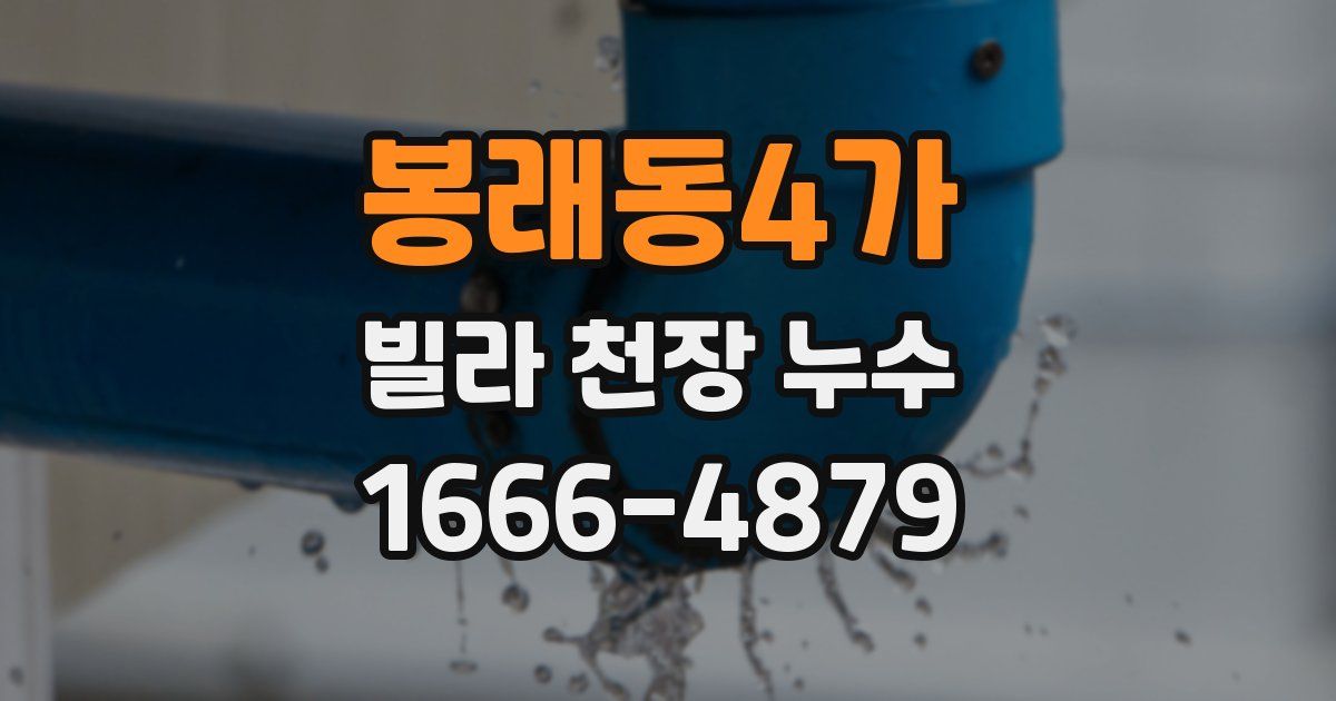 봉래동4가 빌라 천장 누수
