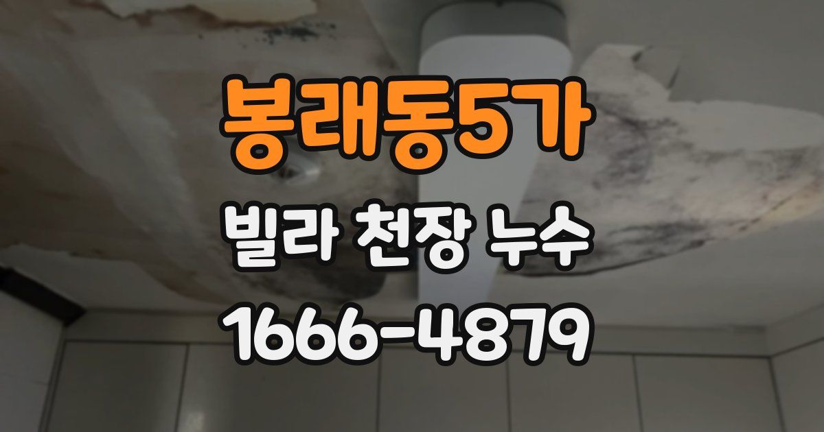 봉래동5가 빌라 천장 누수