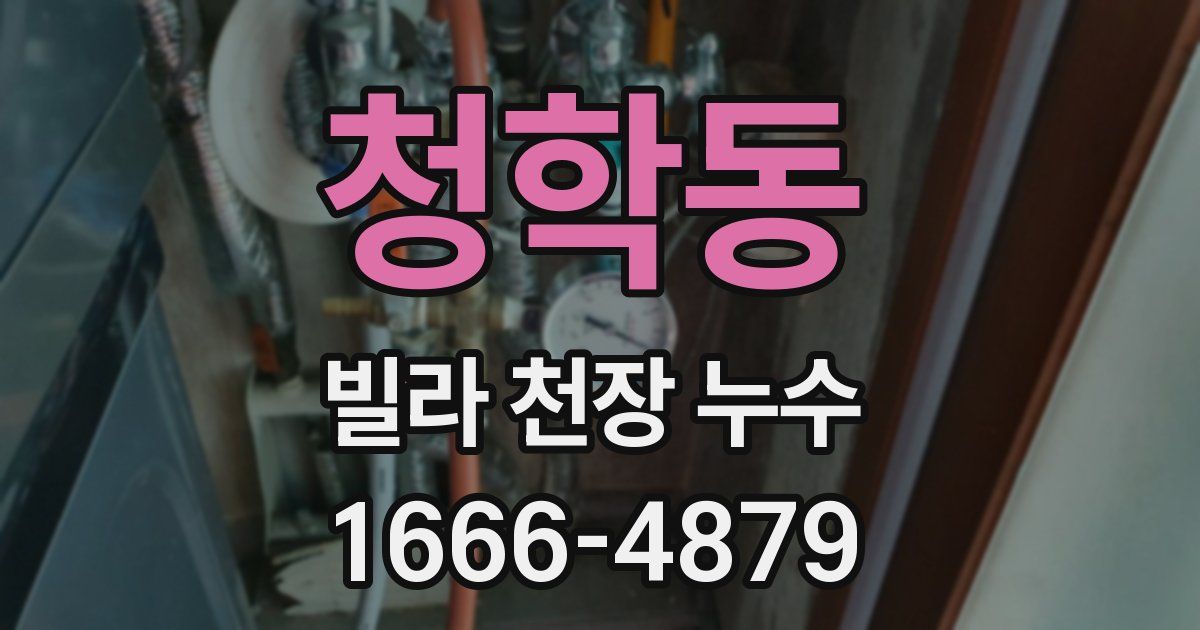청학동 빌라 천장 누수