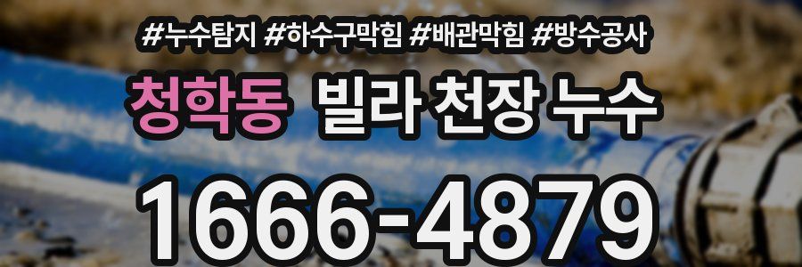 청학동 빌라 천장 누수