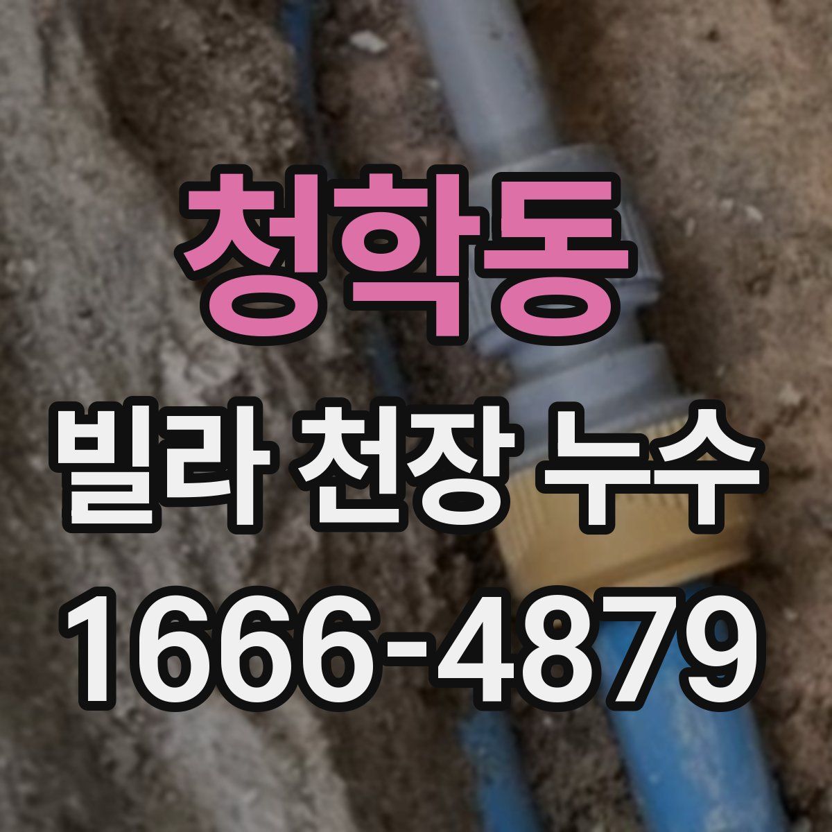 청학동 빌라 천장 누수