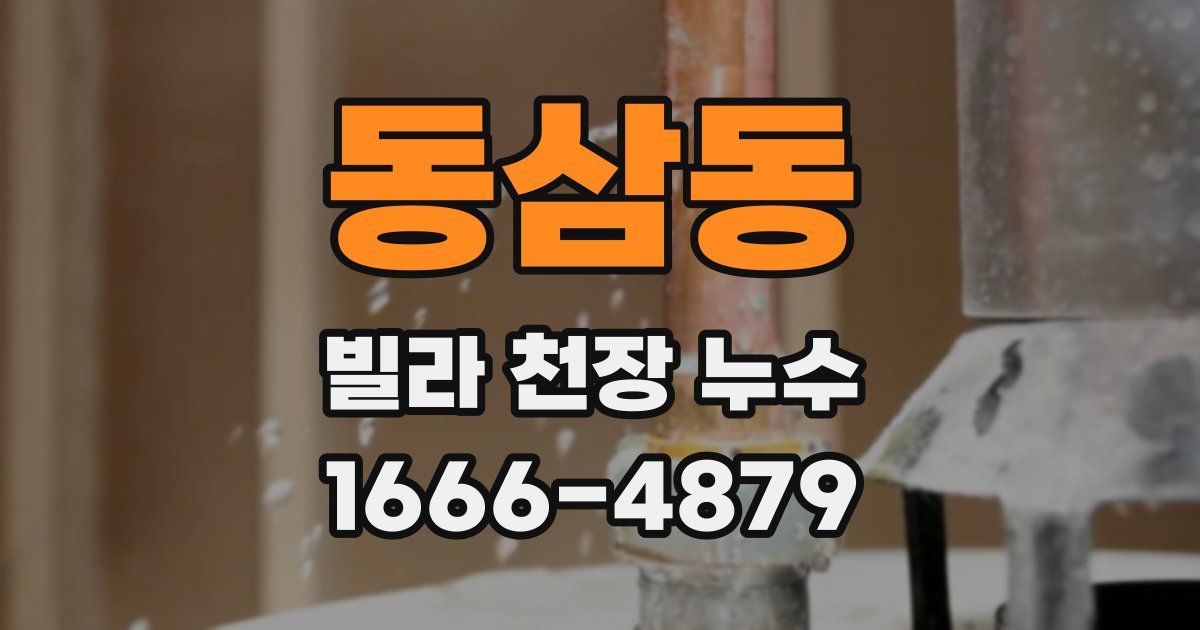 동삼동 빌라 천장 누수