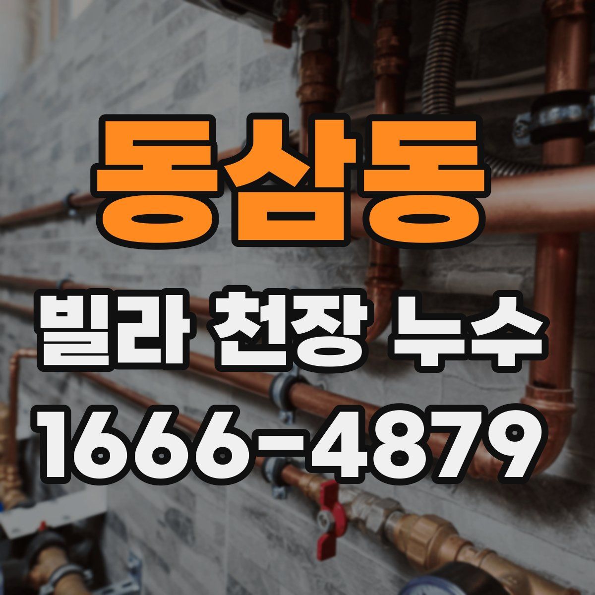 동삼동 빌라 천장 누수