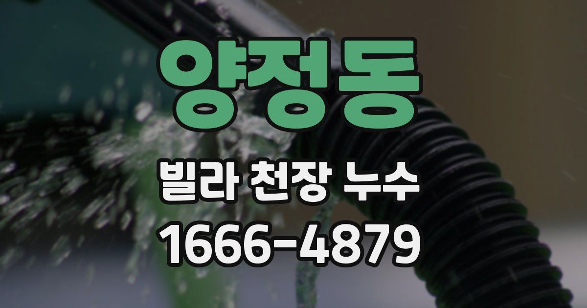 양정동 빌라 천장 누수