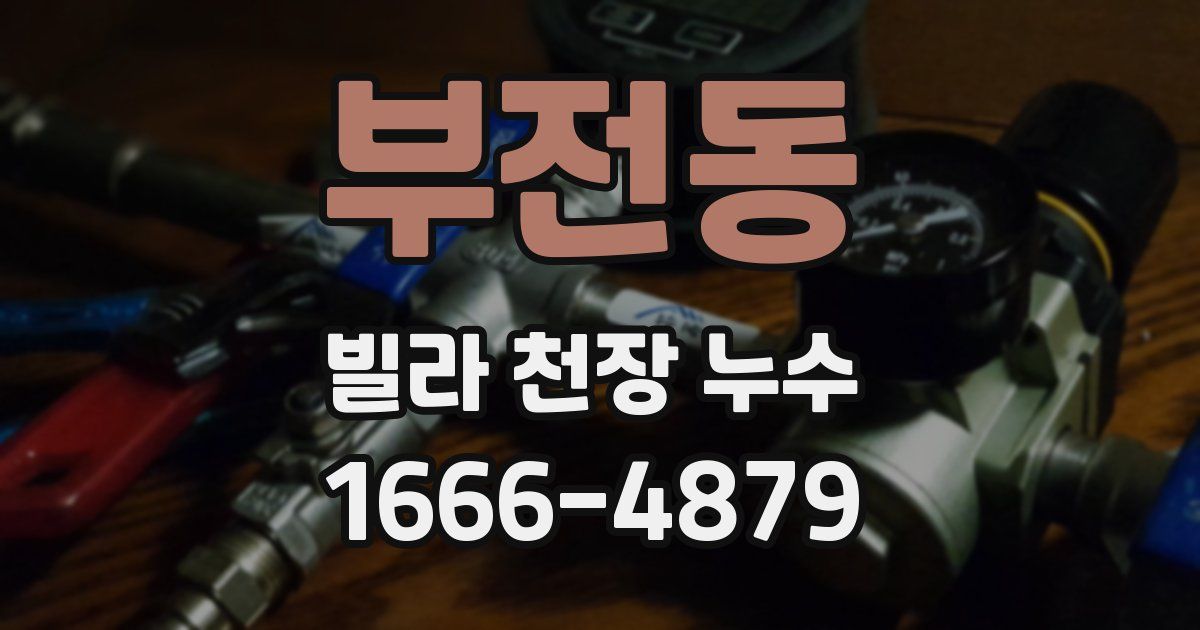 부전동 빌라 천장 누수