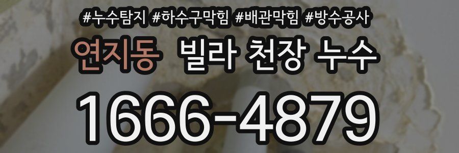 연지동 빌라 천장 누수