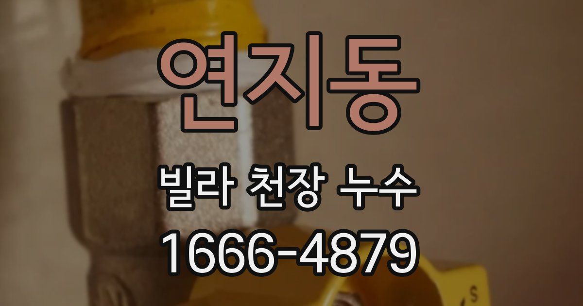 연지동 빌라 천장 누수