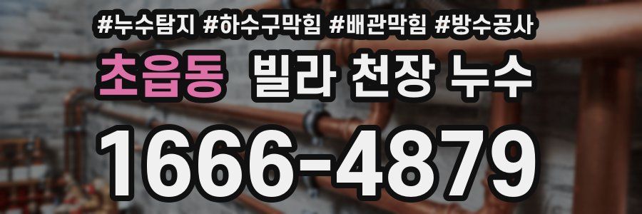 초읍동 빌라 천장 누수