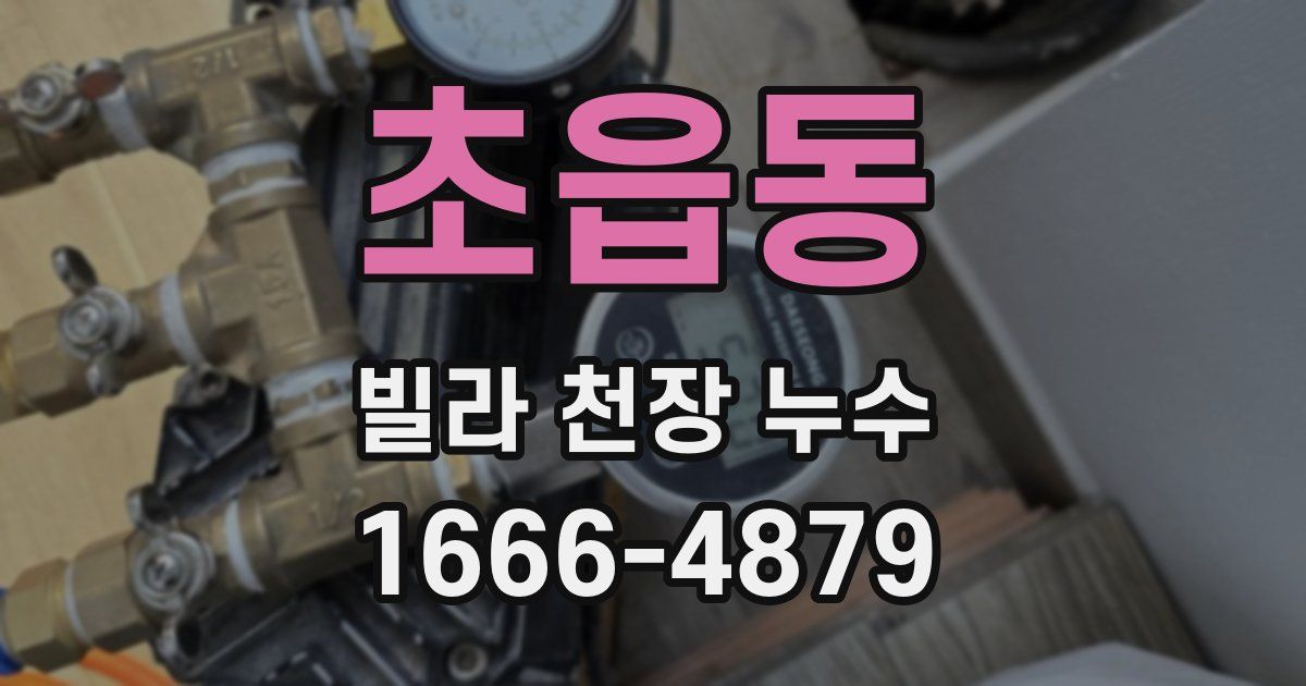 초읍동 빌라 천장 누수