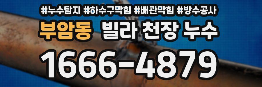 부암동 빌라 천장 누수