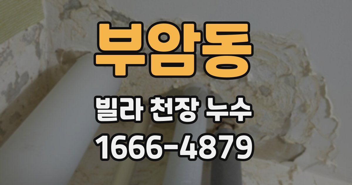 부암동 빌라 천장 누수