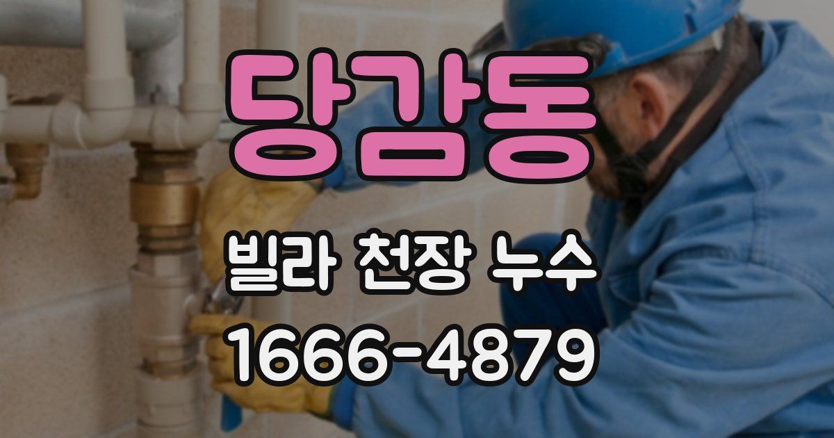 당감동 빌라 천장 누수