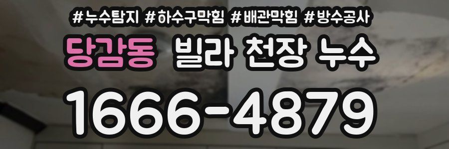 당감동 빌라 천장 누수