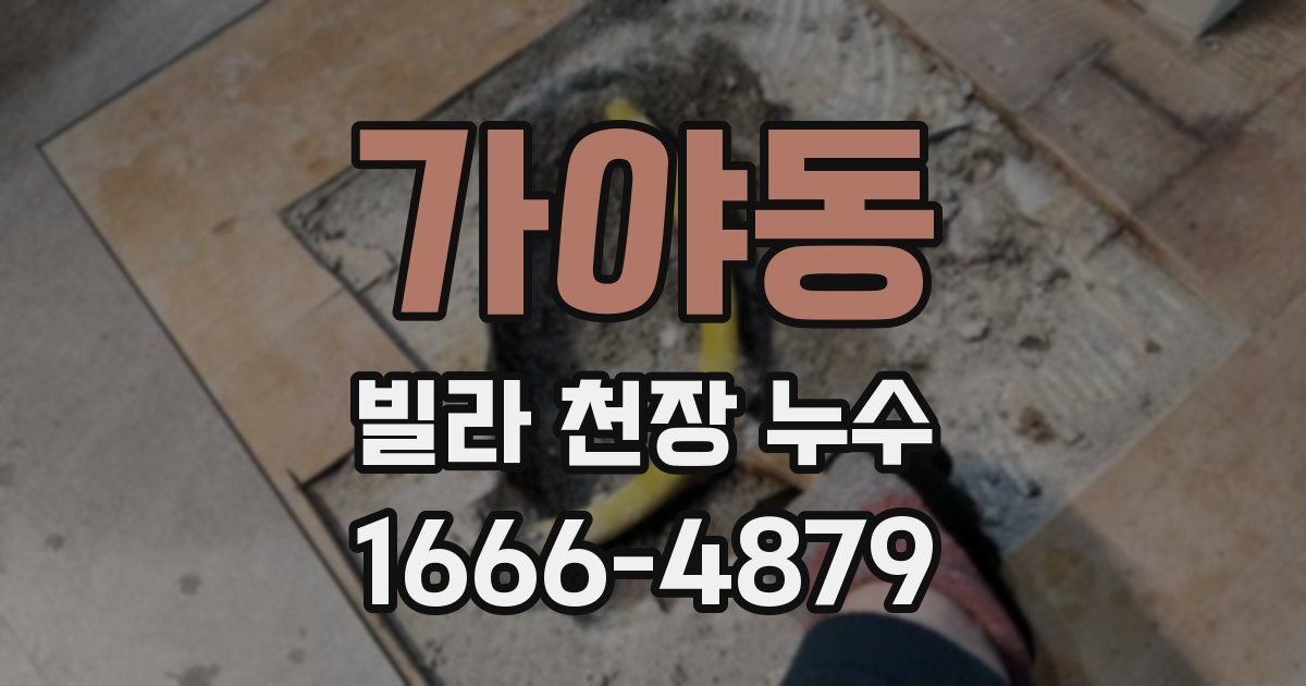 가야동 빌라 천장 누수