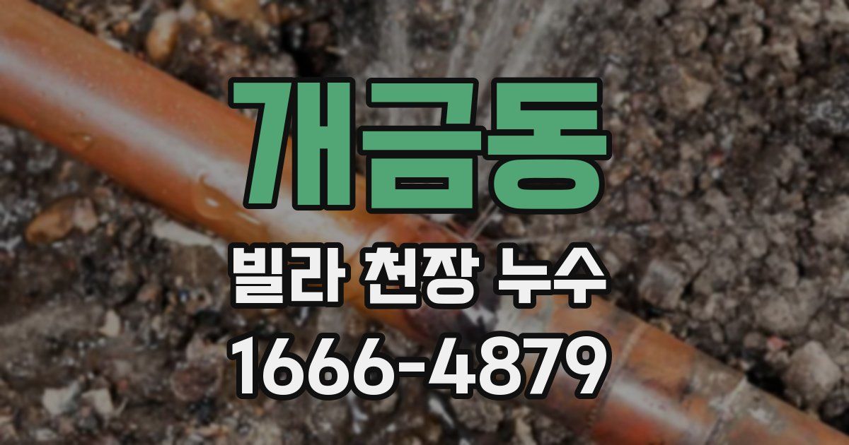 개금동 빌라 천장 누수