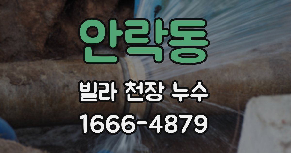 안락동 빌라 천장 누수