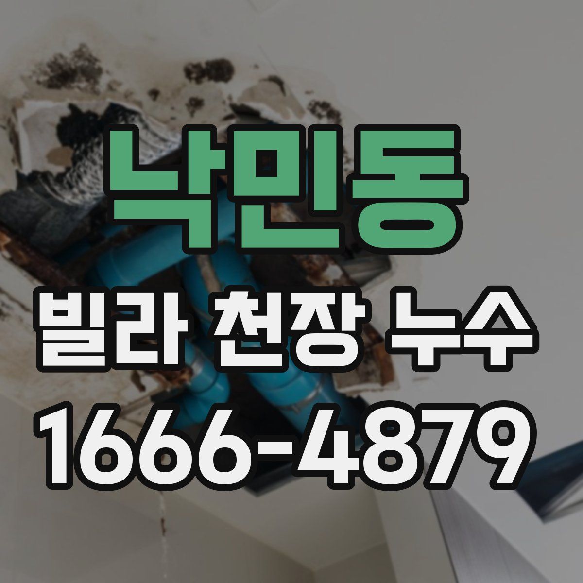 낙민동 빌라 천장 누수
