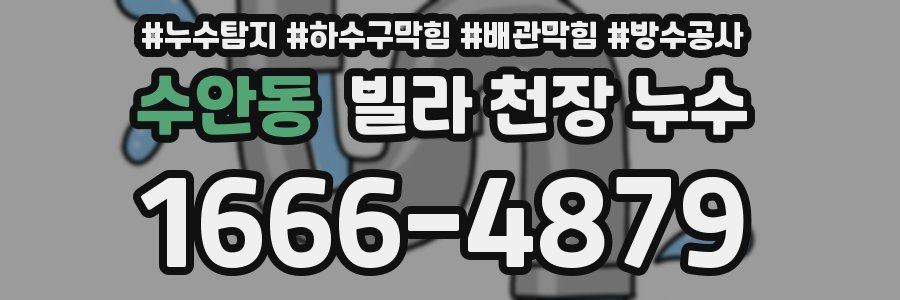 수안동 빌라 천장 누수