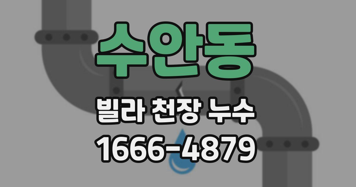 수안동 빌라 천장 누수