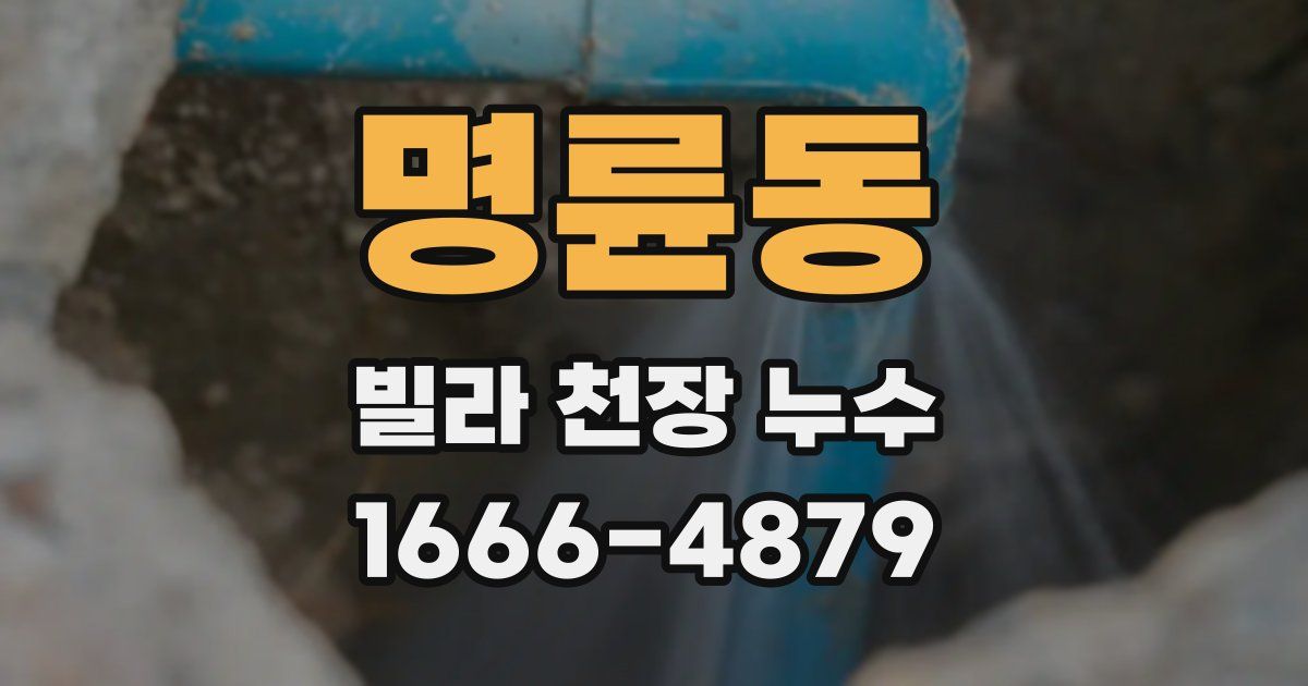 명륜동 빌라 천장 누수