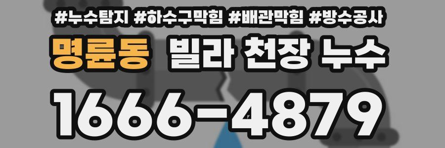명륜동 빌라 천장 누수