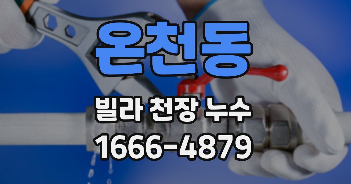 온천동 빌라 천장 누수