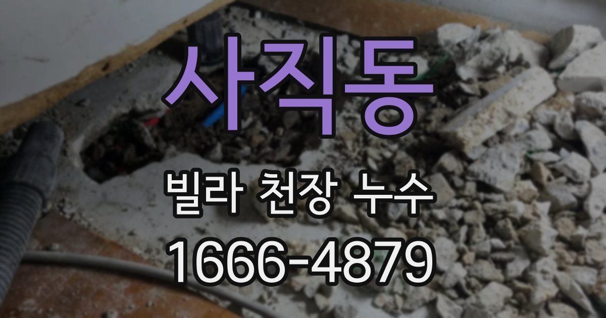 사직동 빌라 천장 누수