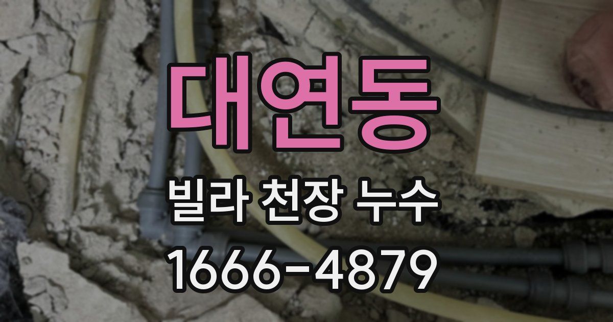 대연동 빌라 천장 누수