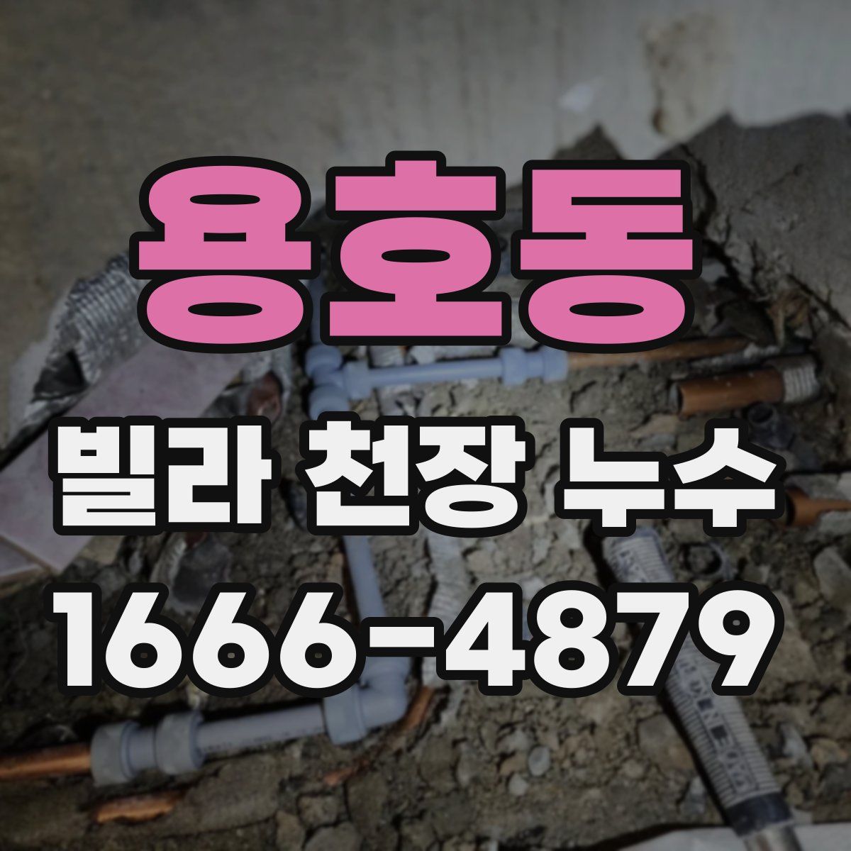 용호동 빌라 천장 누수