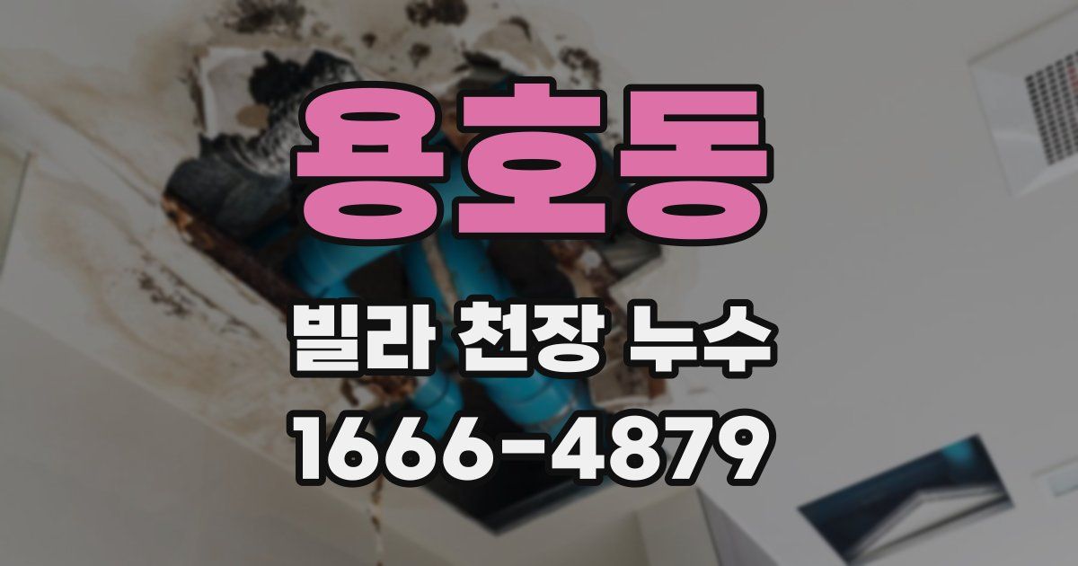 용호동 빌라 천장 누수