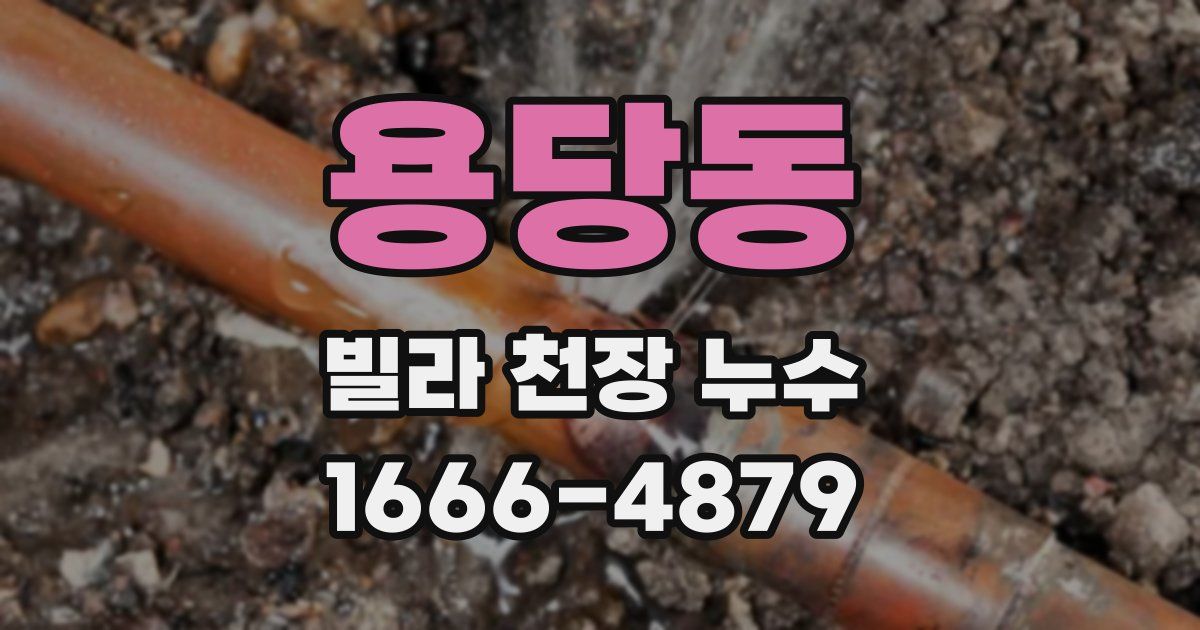 용당동 빌라 천장 누수