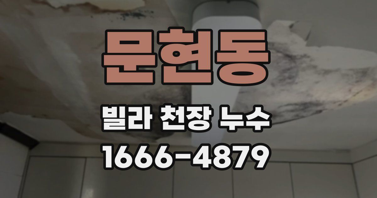 문현동 빌라 천장 누수