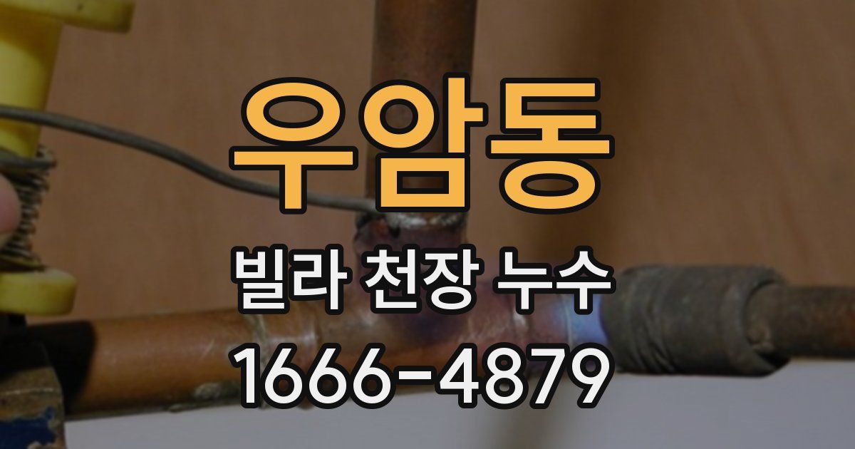 우암동 빌라 천장 누수