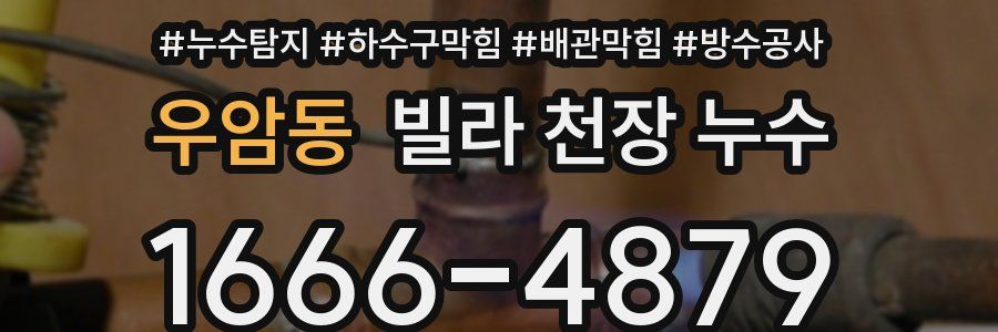 우암동 빌라 천장 누수