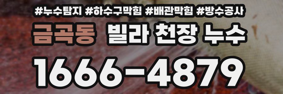 금곡동 빌라 천장 누수