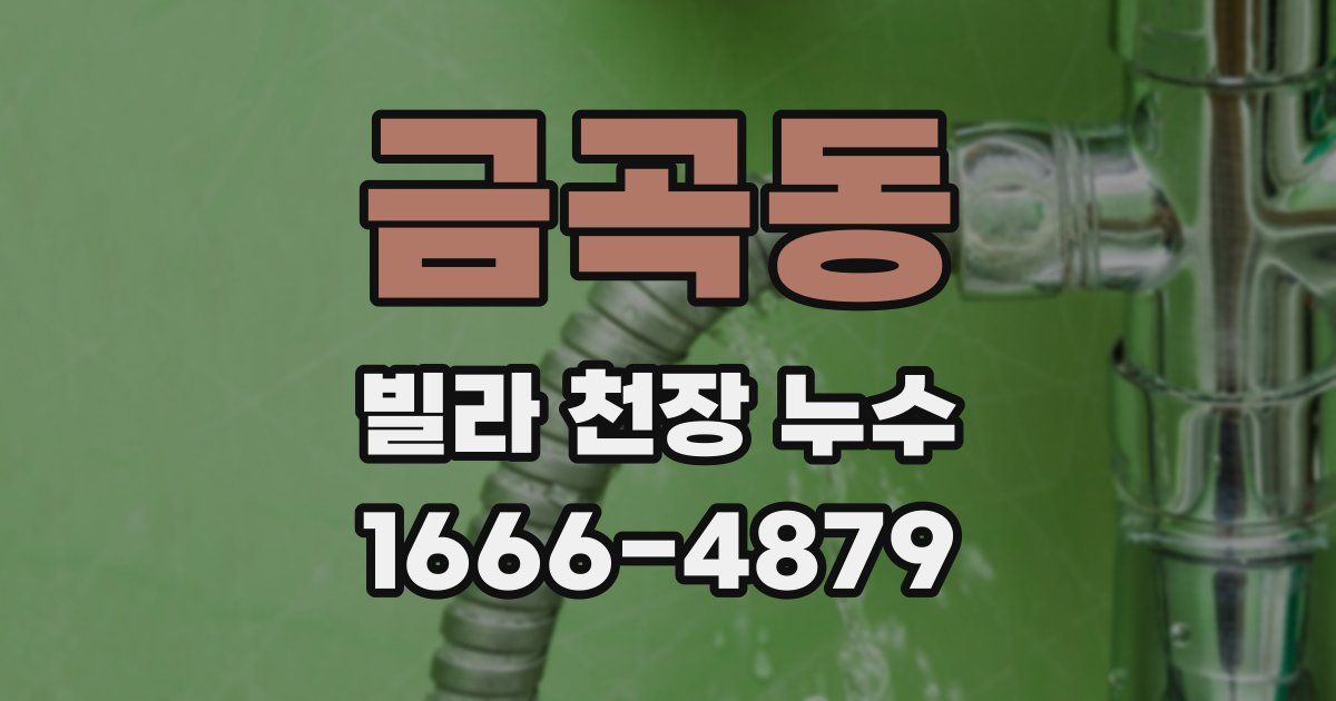 금곡동 빌라 천장 누수