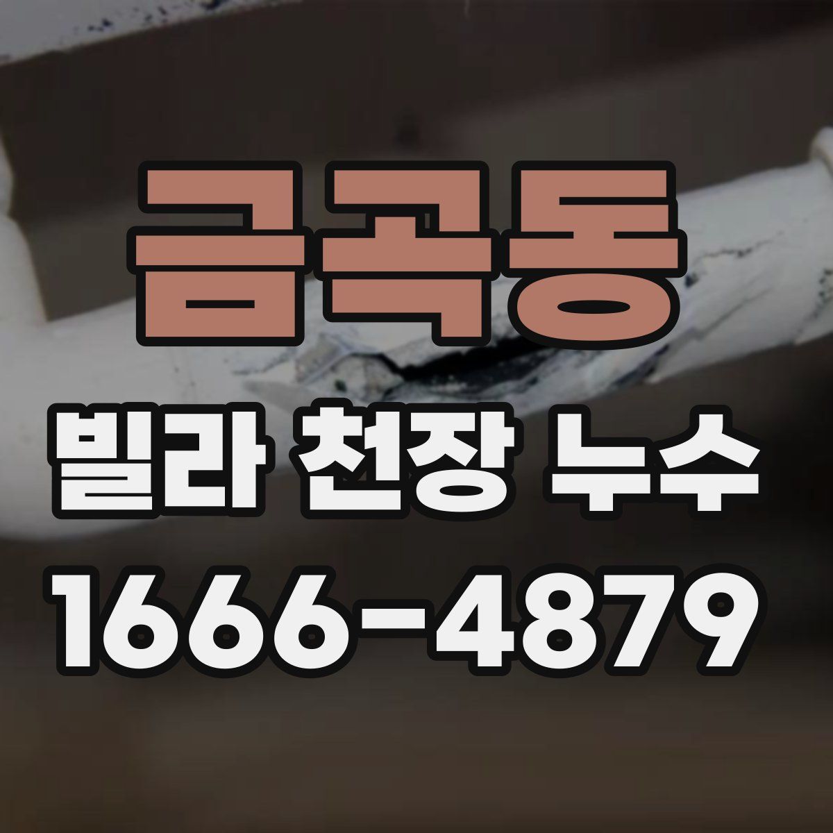 금곡동 빌라 천장 누수