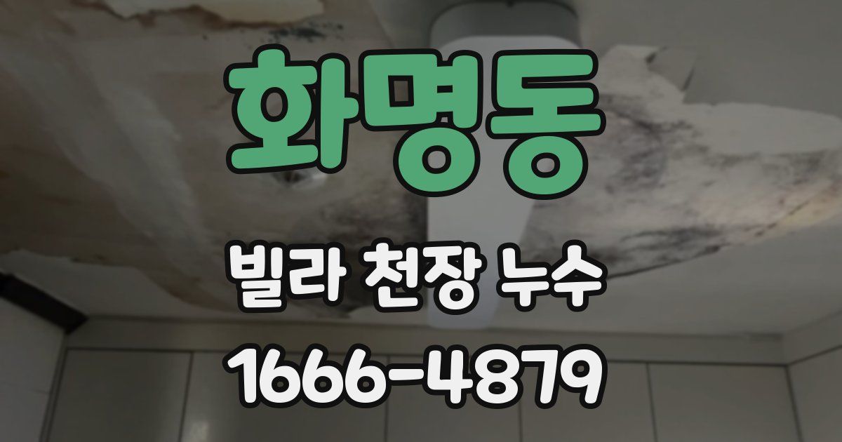 화명동 빌라 천장 누수
